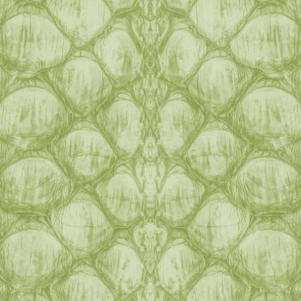 Grå-grön reptil huden mönster — Stockfoto
