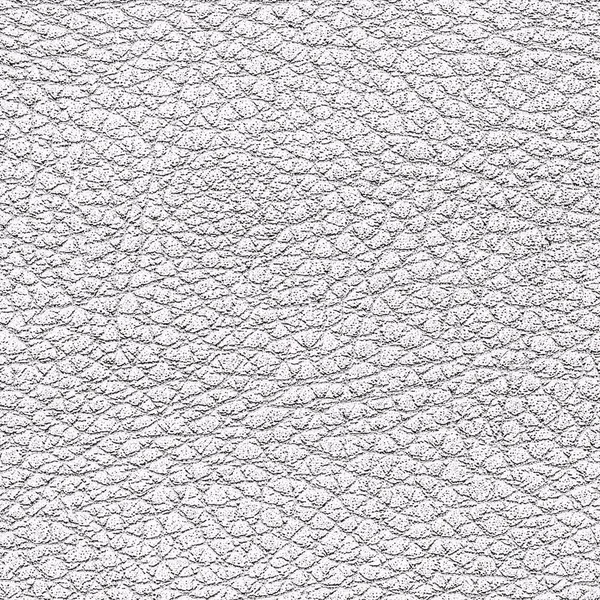 White leather texture — Stock Photo, Image