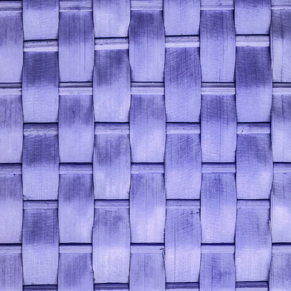 Кусок березы, окрашенный в фиолетовый цвет — стоковое фото