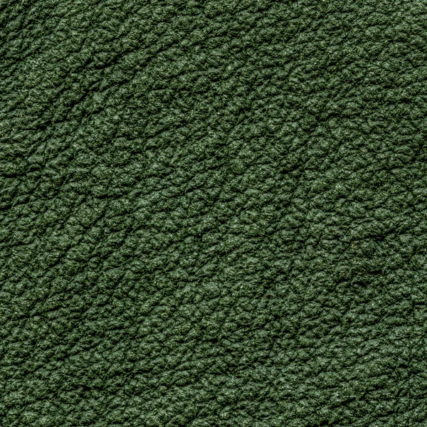 Texture in pelle grezza verde — Foto Stock