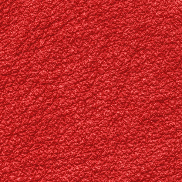 Texture de cuir rugueux rouge — Photo