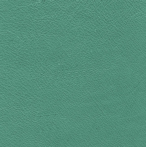 Green-blue leather texture — Stock Photo, Image