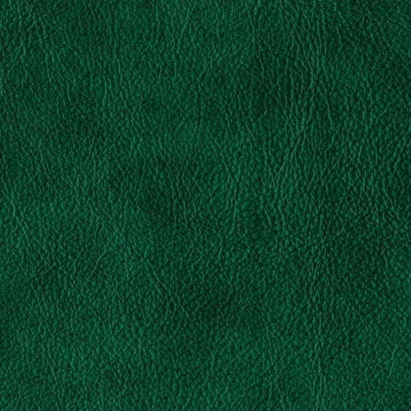 Πράσινος δερμάτινος υφή — Φωτογραφία Αρχείου