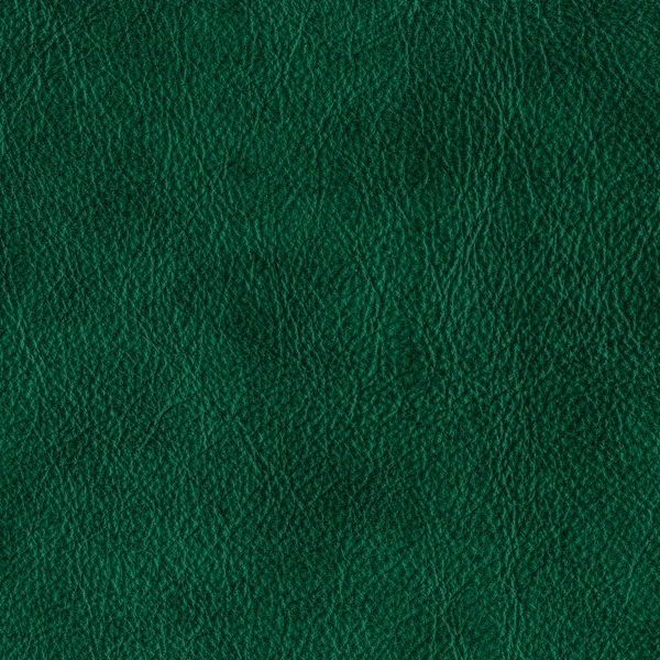 Texture cuir vert — Photo