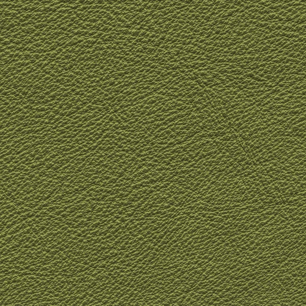 Nahaufnahme aus grünem Leder — Stockfoto