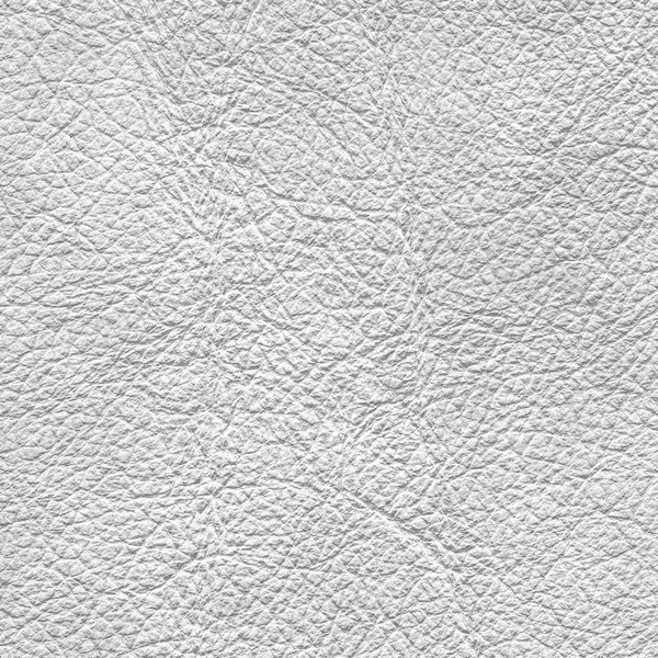 Closeup textura bílá kůže — Stock fotografie