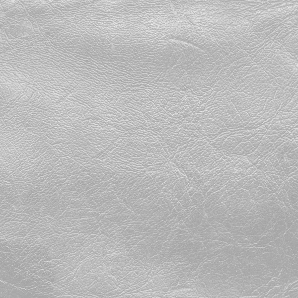 Texture cuir blanc — Photo