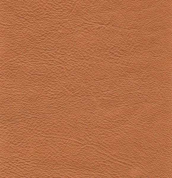 Texture cuir marron pour fond — Photo
