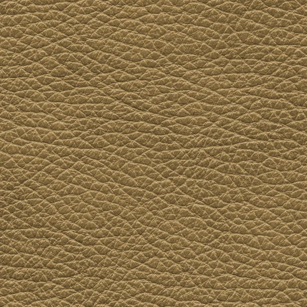 Brown leather texture — Stock Photo, Image