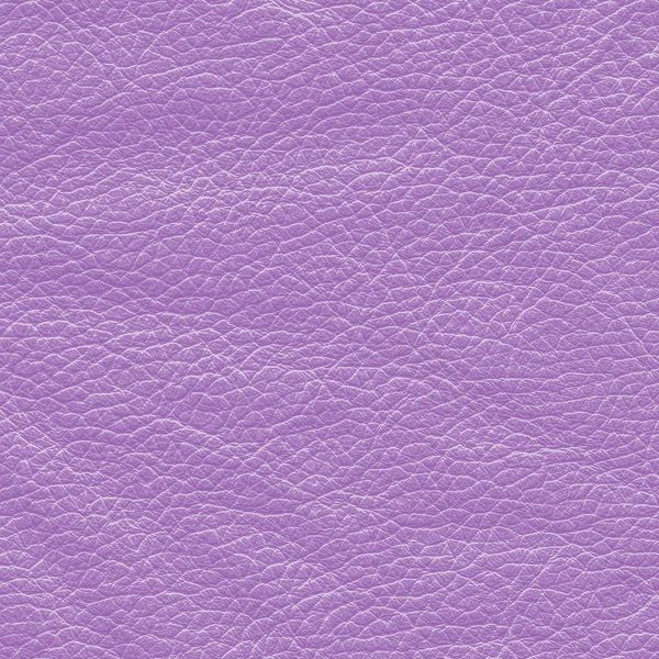 Violette froissé cuir — Photo