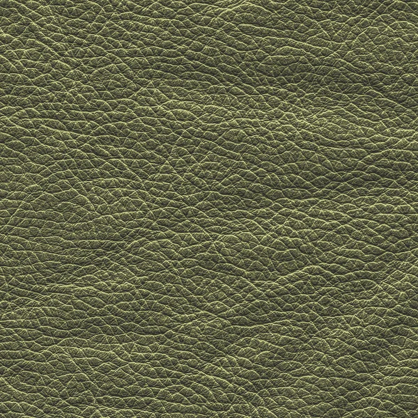 Yeşil buruşuk deri — Stok fotoğraf
