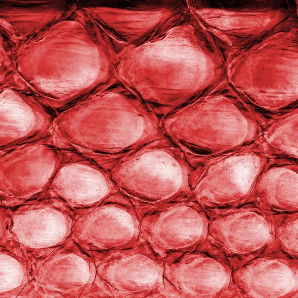 漆成红棕色鳄鱼皮 — 图库照片