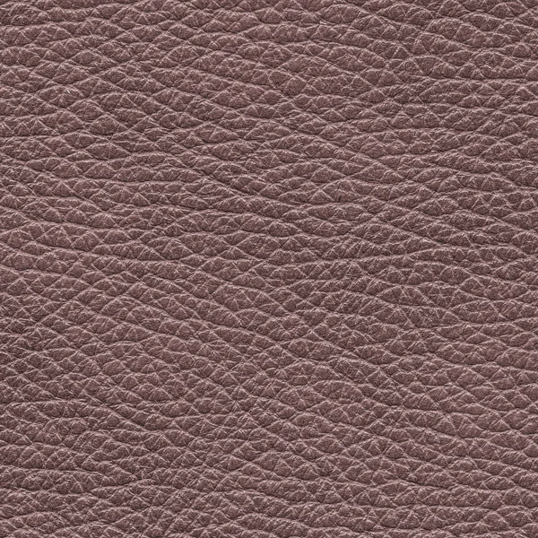 Brown leather texture — Stock Photo, Image