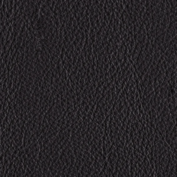 Black leather closeup — Stock Photo, Image