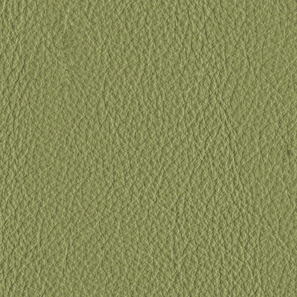 Gray-green leather — Stock Photo, Image