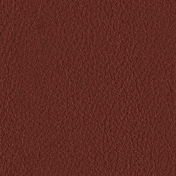 Brown leather — Stock Photo, Image