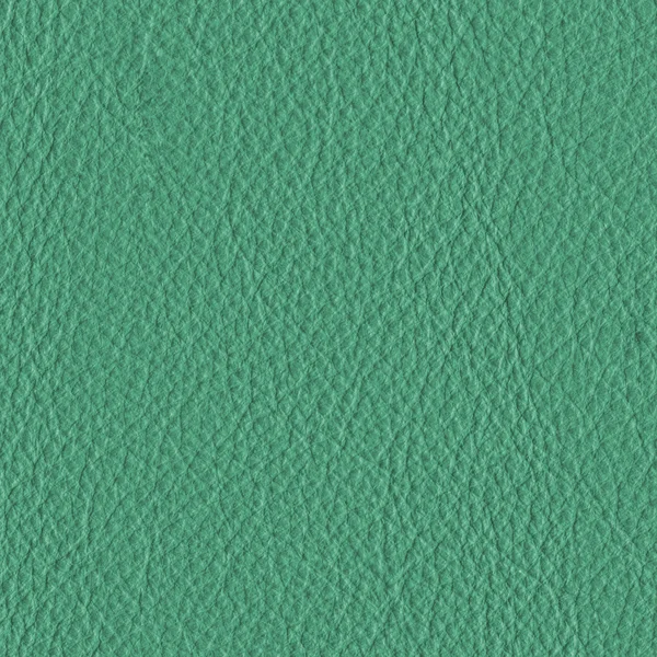 Green-blue leather — Stock Photo, Image