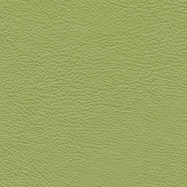 yeşil deri dokusu