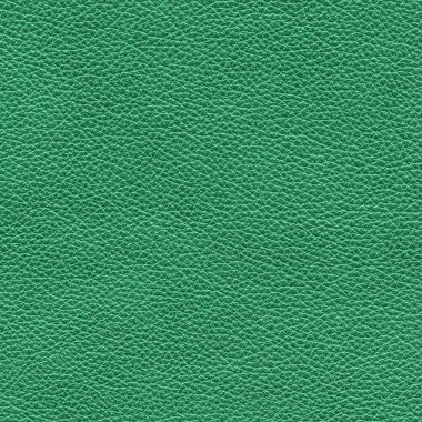 yeşil deri