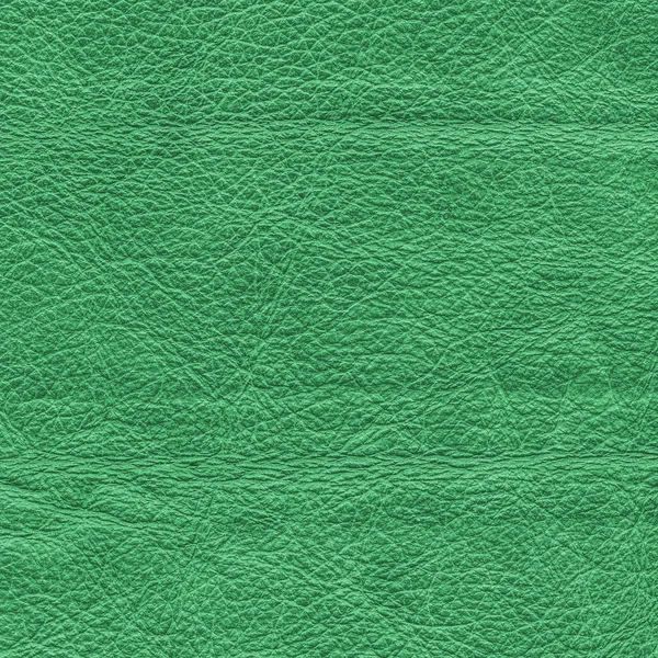 Zelené kožené pozadí — Stock fotografie