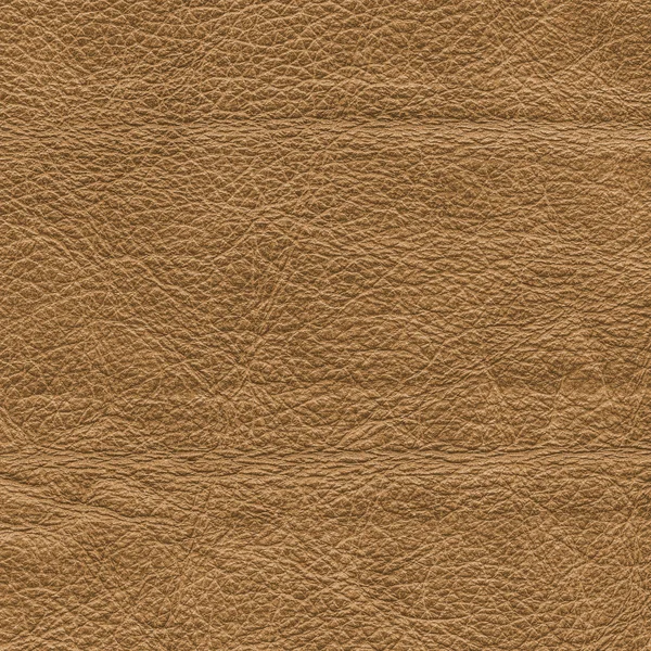 Brown leather background — Stock Photo, Image