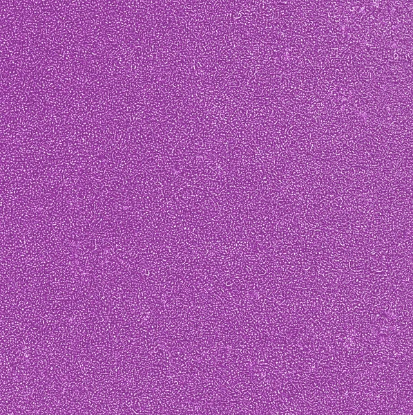 Fondo violeta —  Fotos de Stock