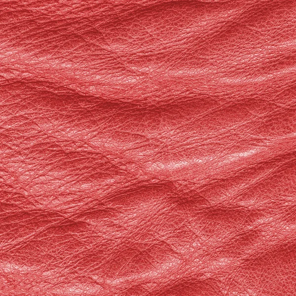 Red leather — Stock Photo, Image