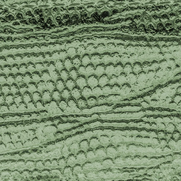 Pelle di lucertola verde — Foto Stock