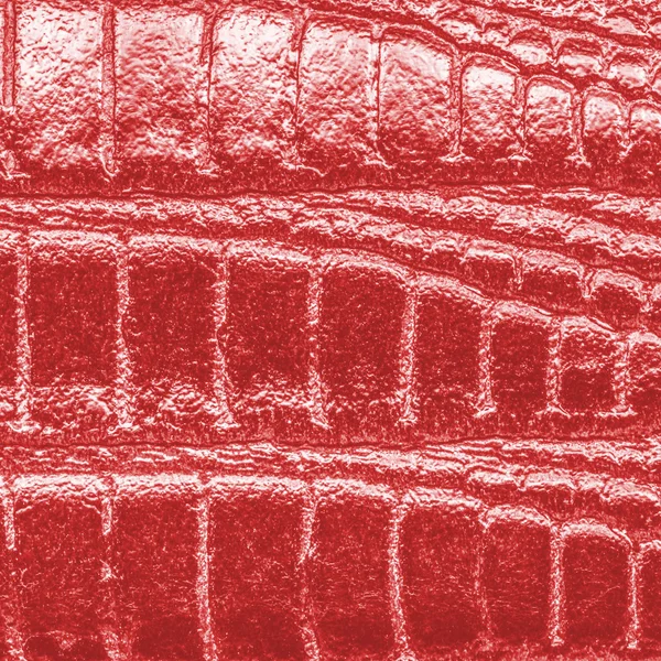 Röd orm läder — Stockfoto
