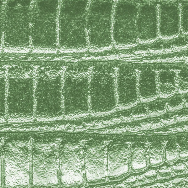 Yeşil yılan deri — Stok fotoğraf