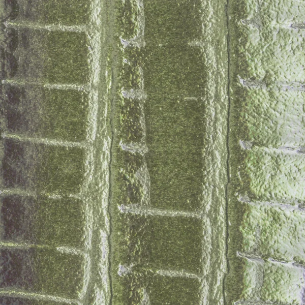 Zelený kožený opasek — Stock fotografie