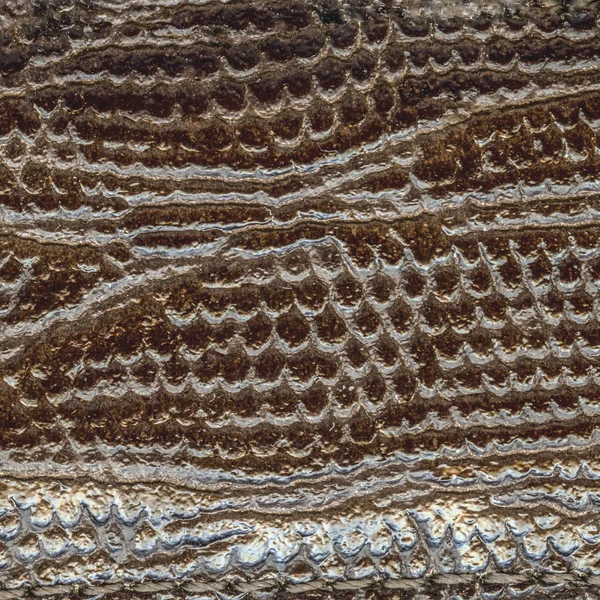 Brown snake leather — Stock Photo, Image