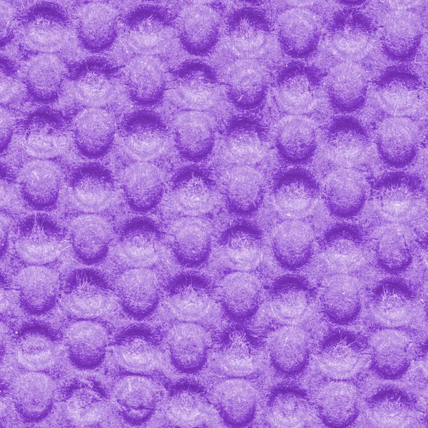 Фиолетовый лист — стоковое фото