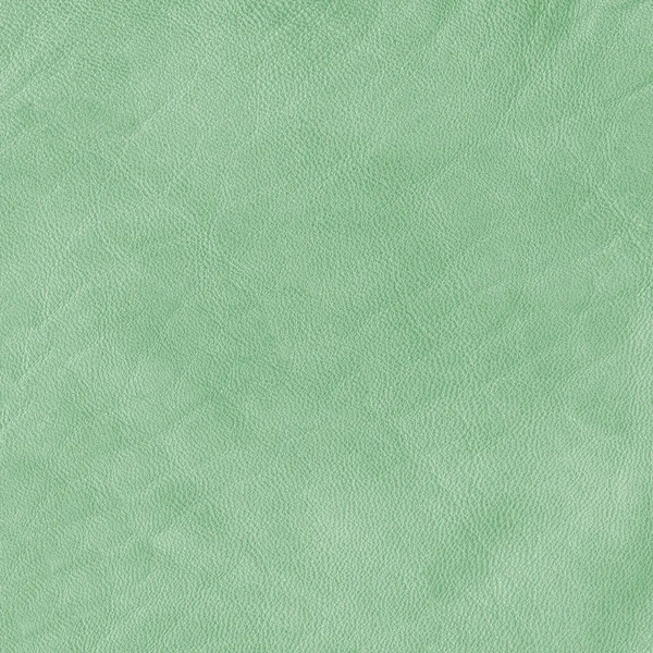 Green leather — Stock Photo, Image