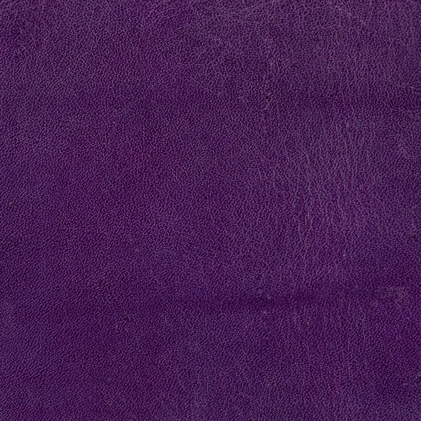 紫皮 — 图库照片