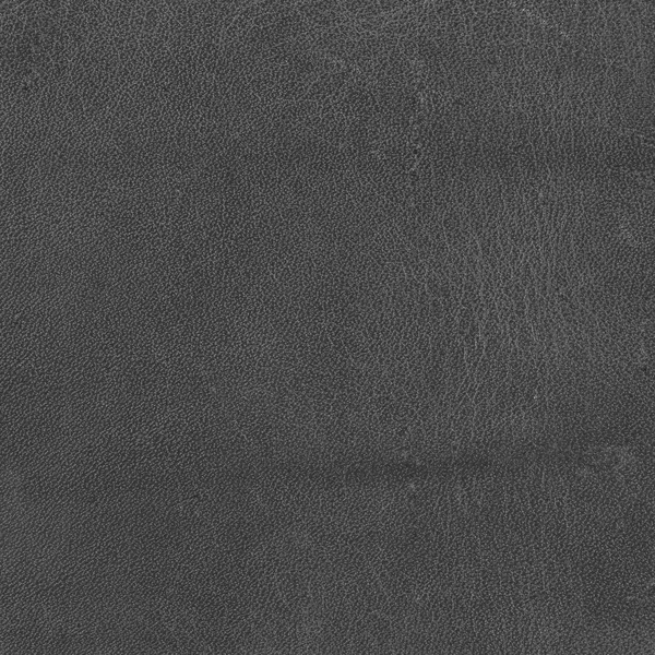 灰色皮革 — 图库照片