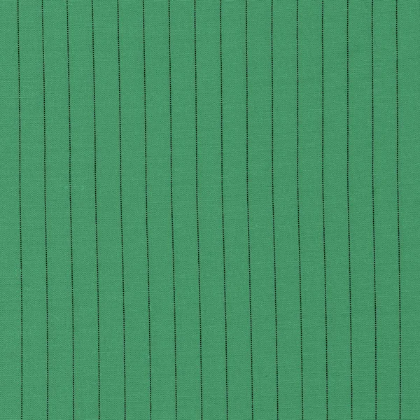 Tissu rayé vert — Photo