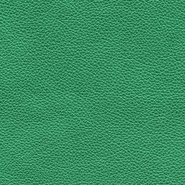 Green leather — Stock Photo, Image