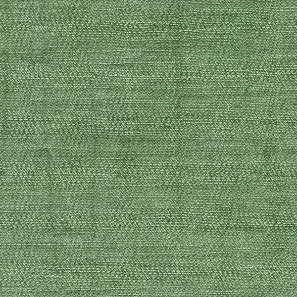 Calça verde — Fotografia de Stock