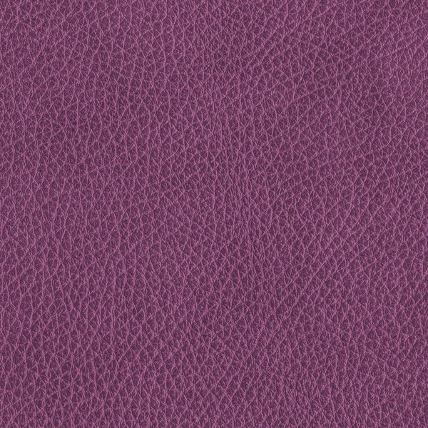 Violet leather — Stock Photo, Image