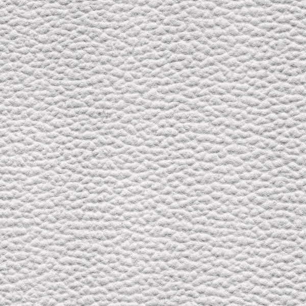 Weißes Leder — Stockfoto