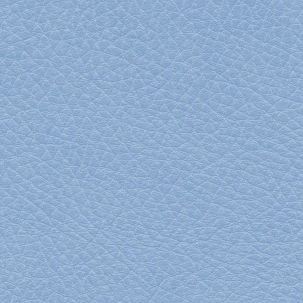 Mavi deri — Stok fotoğraf