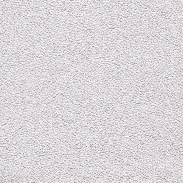 White leather — Stock Photo, Image