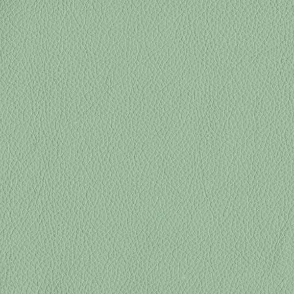 绿色皮革 — 图库照片