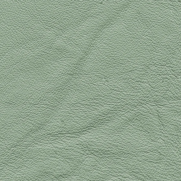 Pale green leather — Stock Photo, Image