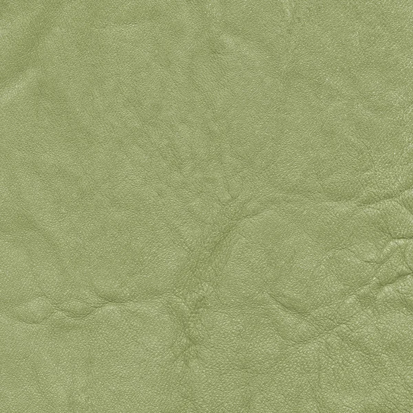 Green leather — Stock Photo, Image