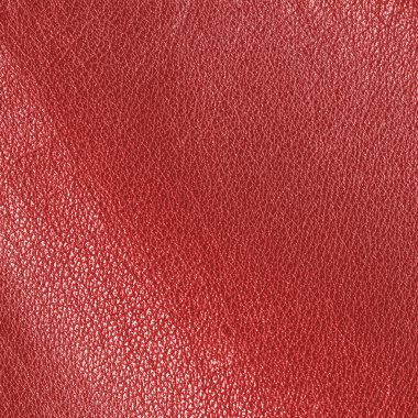kırmızı deri