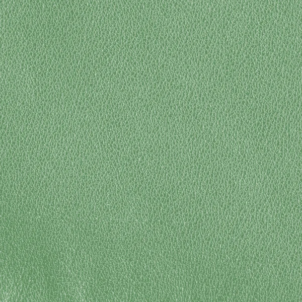 Cuero verde — Foto de Stock