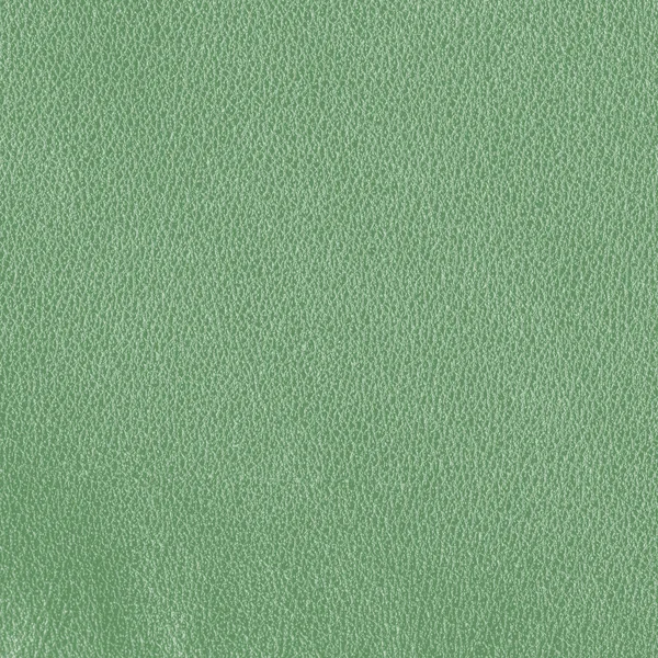 Green leather — Stock Photo, Image