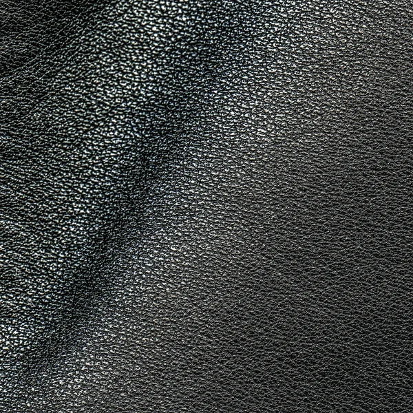 검은 잎사귀 — 스톡 사진